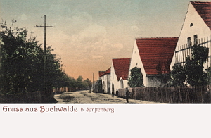 Senftenberg